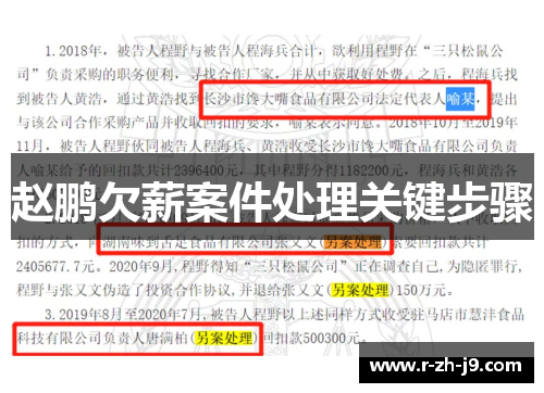 赵鹏欠薪案件处理关键步骤